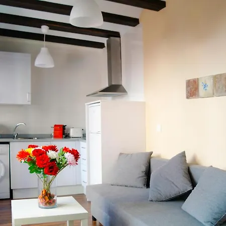 Apartment Down Town Valencia