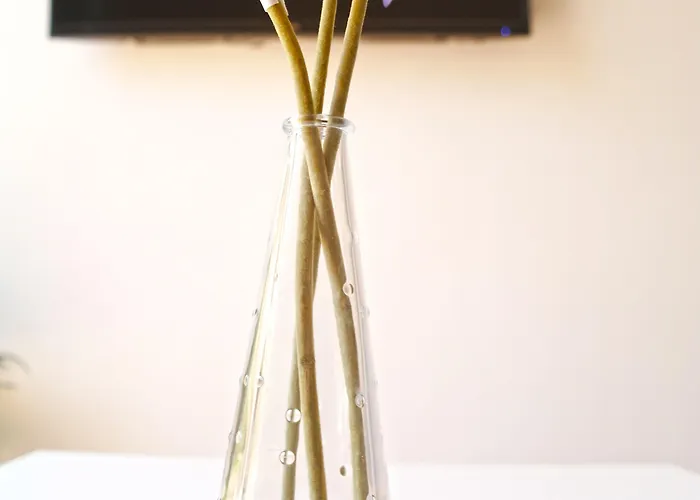 Down Town Appartamento